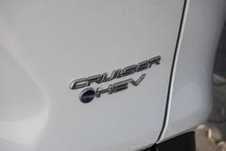 2024 Toyota RAV4 Cruiser