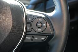 2024 Toyota RAV4 Cruiser