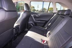 2024 Toyota RAV4 Cruiser