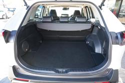 2024 Toyota RAV4 Cruiser