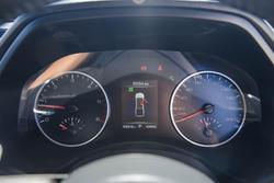 2022 GWM Ute Cannon-L