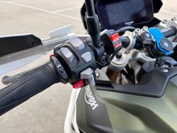 2022 Triumph TIGER 900 RALLY PRO Green