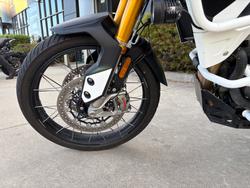 2022 Triumph TIGER 900 RALLY PRO Green