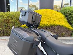 2022 Triumph TIGER 900 RALLY PRO Green