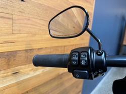 2020 HARLEY-DAVIDSON FXLRS LOW RIDER S (114)