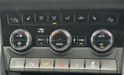 2020 Skoda Kodiaq 176 TDI RS (4x4)