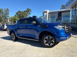 2022 GWM Ute Cannon-X