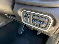 2022 GWM Ute Cannon-X