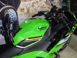 2025 Kawasaki NINJA 500 SE (LAMS) GREEN