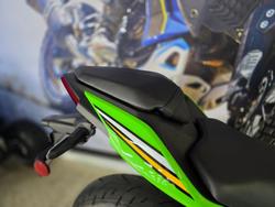 2025 Kawasaki NINJA 500 SE (LAMS) GREEN