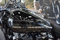 2025 HARLEY-DAVIDSON FXBR BREAKOUT (117)