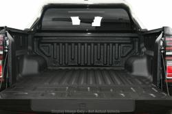 2025 GWM Cannon Ultra