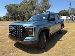 2025 LDV TERRON 9 EVOLVE