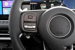 2025 GWM Cannon Vanta