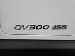 2025 HYUNDAI PAVISE D115