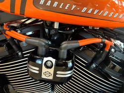 2024 Harley-Davidson Street Bob 114 (FXBBS) Softail Orange