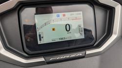 2025 Honda FORZA 350 (NSS350A) Grey