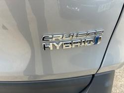 2019 Toyota RAV4 Cruiser