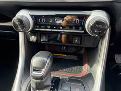 2019 Toyota RAV4 Cruiser