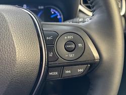 2019 Toyota RAV4 Cruiser