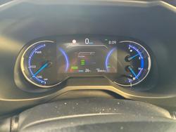 2019 Toyota RAV4 Cruiser