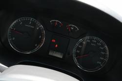 2020 Great Wall Steed