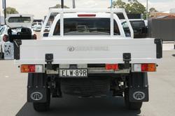 2020 Great Wall Steed