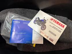 2024 Yamaha D'elight 125 (LTS125-C) D'elight White