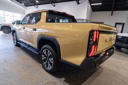 2025 LDV Terron 9 Evolve