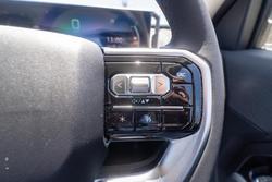 2025 LDV Terron 9 Origin