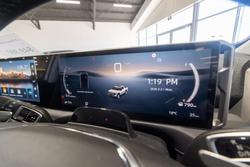 2025 LDV Terron 9 Origin