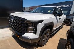 2025 LDV Terron 9 Origin