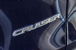 2020 Toyota RAV4 Cruiser