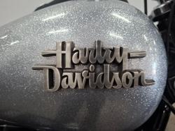 2014 HARLEY-DAVIDSON FXDB STREET BOB Grey