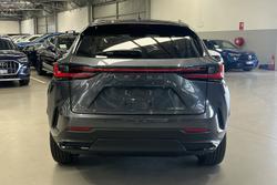 2024 Lexus NX NX250