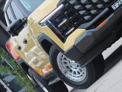 2025 LDV Terron 9 Origin