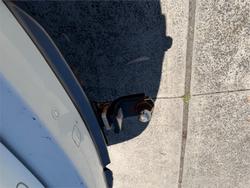 2015 ISUZU MU-X LS-U (4x2)