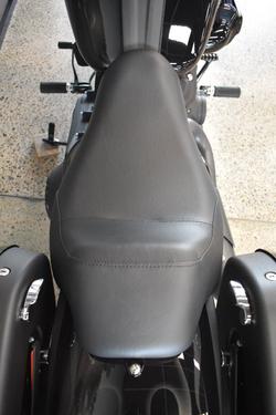 2025 HARLEY-DAVIDSON FXLRST LOW RIDER ST (117)