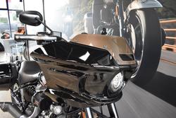 2025 HARLEY-DAVIDSON FXLRST LOW RIDER ST (117)