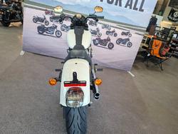 2023 HARLEY-DAVIDSON FXLRS LOW RIDER S (117)