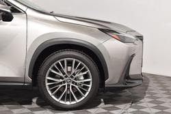 2024 Lexus NX 350h Luxury