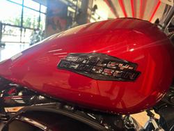 2025 Harley-Davidson Street Glide 117 (FLHX) Touring Red