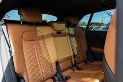 2023 Audi RS Q8 TFSI