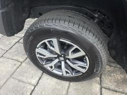 2025 GWM Tank 300 Ultra