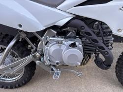 2026 Kawasaki 2026 Kawasaki 110CC KLX110DTFNN WHITE