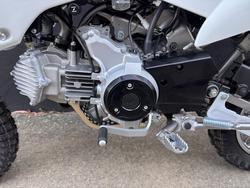 2026 Kawasaki 2026 Kawasaki 110CC KLX110DTFNN WHITE