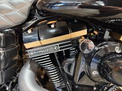 2017 HARLEY-DAVIDSON FXDLS LOW RIDER S