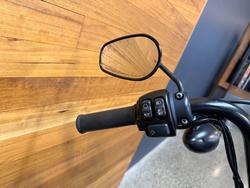 2019 HARLEY-DAVIDSON XL1200NS IRON 1200