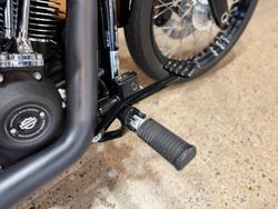 2021 HARLEY-DAVIDSON FXBBS STREET BOB (114)