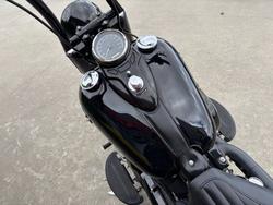 2017 HARLEY-DAVIDSON FLSS SOFTAIL SLIM S Black